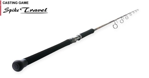 Tenryu rod spinning spike - spinning,