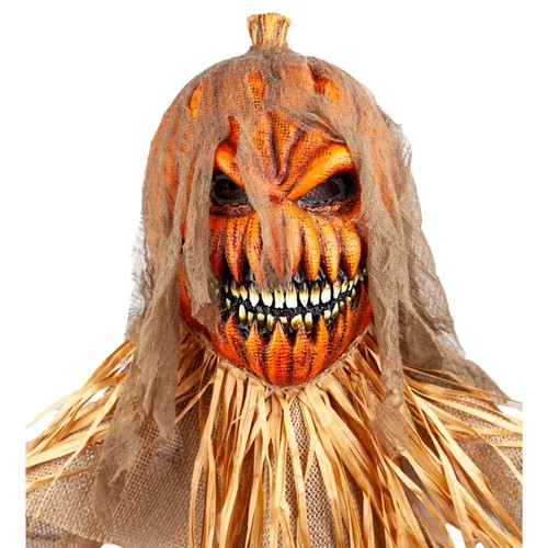 Adult evil pumpkin scarecrow - evil,
