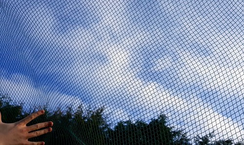 Pond cover netting - netting, net
