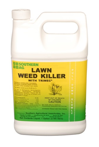 Southern lawn weed grass - lawn,