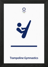 Trampoline Gymnastics Framed