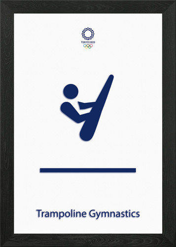 Trampoline gymnastics framed - trampoline,