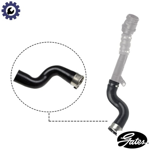 Charge air hose - charge,