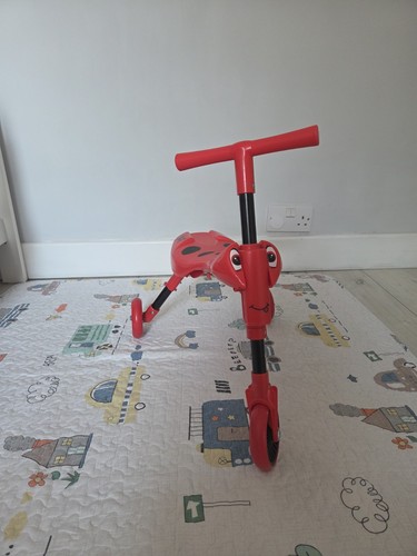 Scuttlebug beetle foldable - scuttlebug,