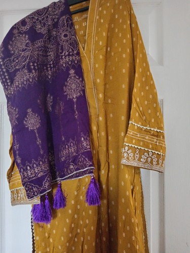 Asian pakistani partywear - asian,