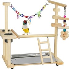 Parrot Playstand Bird Play Stand Cockatiel Playground Wood Perch Gym Accessory !