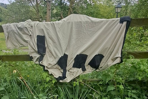 Snuggy hoods bug - body, fly