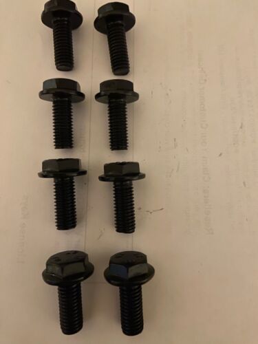 Lblack anodised stainless - lblack,