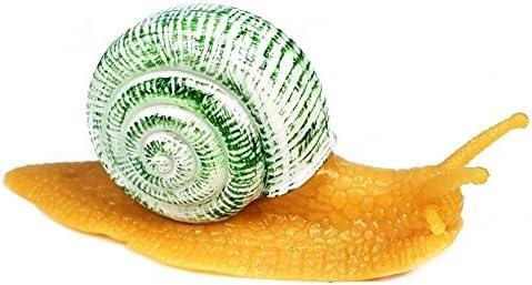 Snail with hard shell - with,