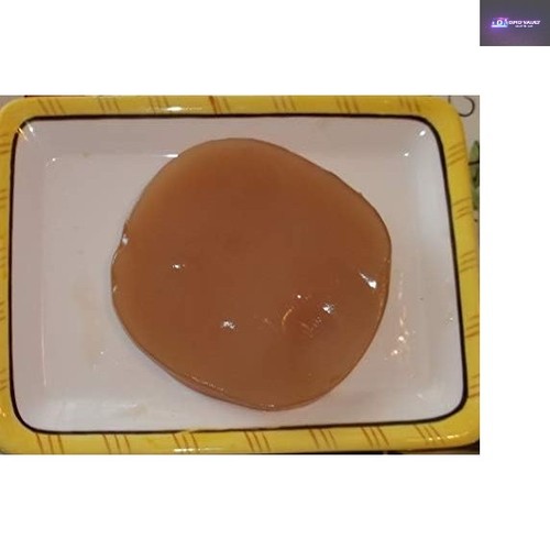 Organic kombucha scoby - kombucha, &