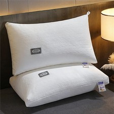 1/2PC Memory Foam Core pillows