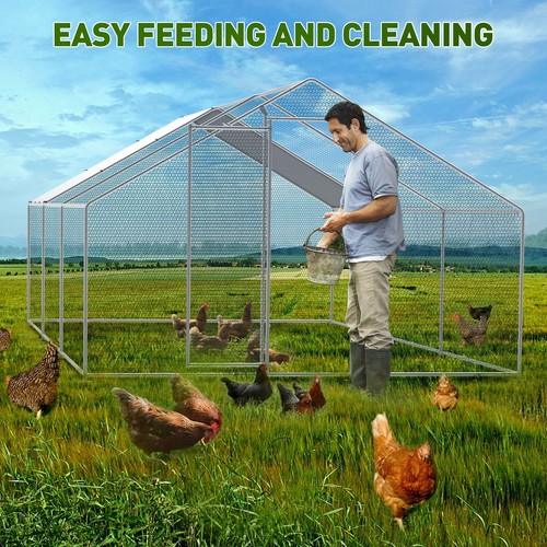 Large strong metal chicken - large,