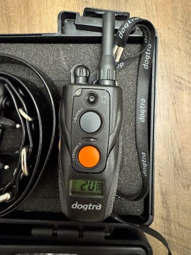 Electric dog training - dog, collar