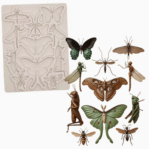 Insect silicone mould - silicone,