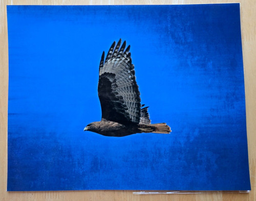 Large 14 color - large, x