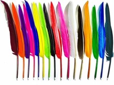 16pcs Goose Feather Pen