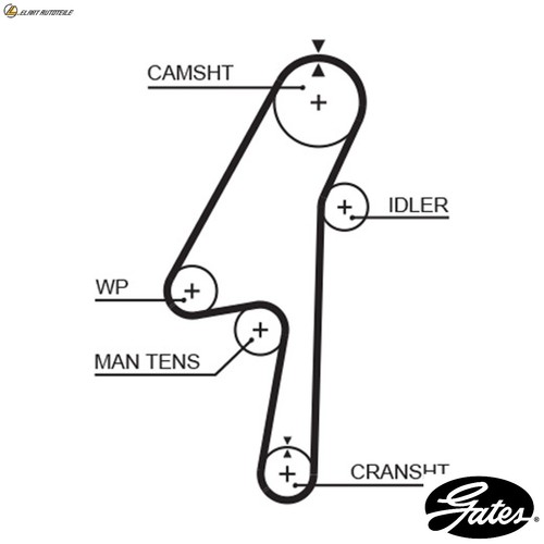 Timing belt 5580xs - for, volvo