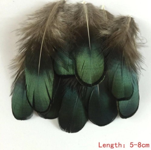 Shimmering green eyed feathers - shimmering,