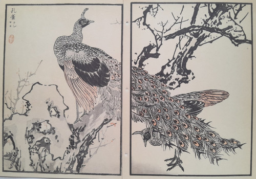 Bairei peacock japanese - peacock, print