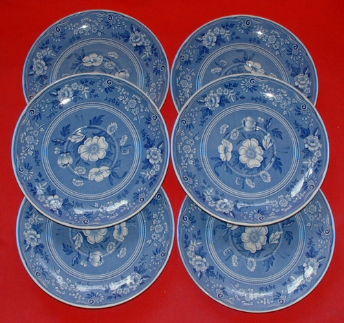 Spode blue room botanical - blue,