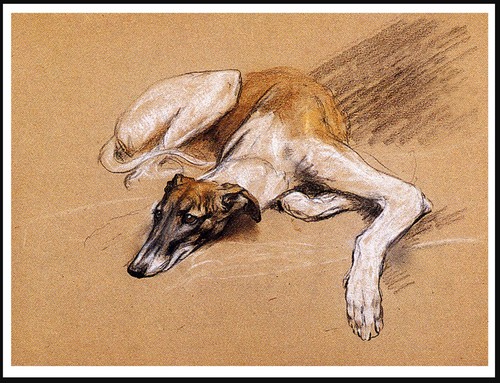 Greyhound lovely dog art - greyhound, print