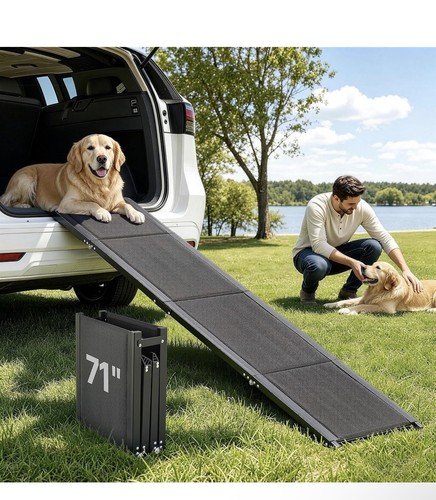 Folding dog ramp for - folding,