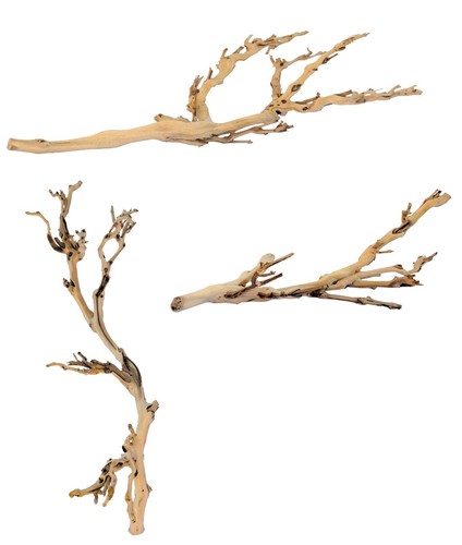 Exo terra grapevine - terra,