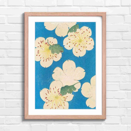 Vintage japanese blossom art - blossom,
