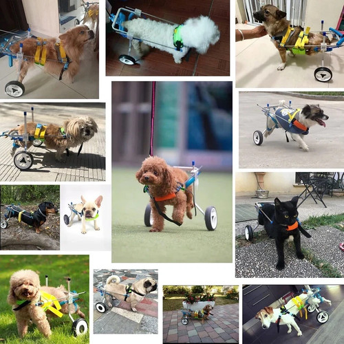 Hobeyhove adjustable dog - hobeyhove,