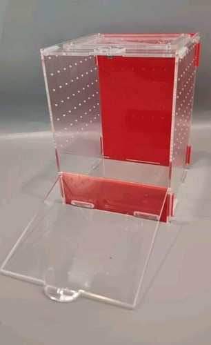 Praying mantis enclosure - praying,