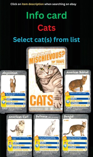 Cats info card - info, –
