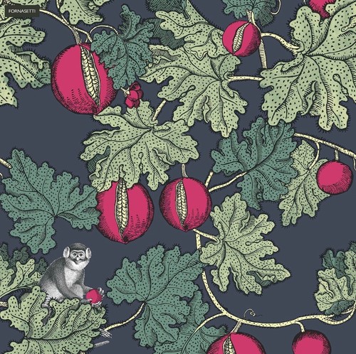 Cole son fornasetti - &, frutto