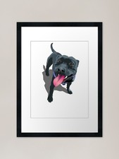 Panting Dog Staffy White