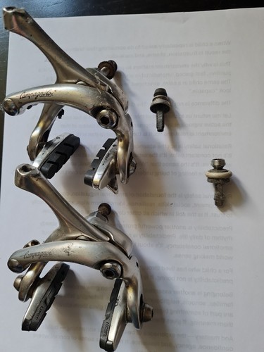 Campagnolo brakes dual - dual, pivot
