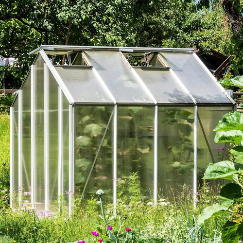 10x polycarbonate greenhouse - 10x,