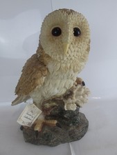 The Academy Collection Barn