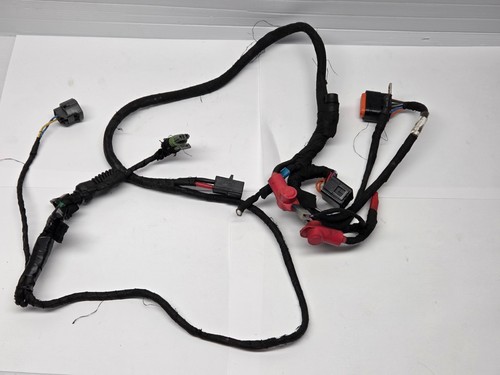 Used rotax evo max - used,