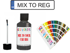 Paint Touch Up For Vw Transporter Van/Camper Mixed By Car Reg Number Plate