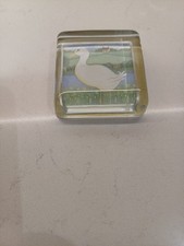 Sharon Jervis Square Duck