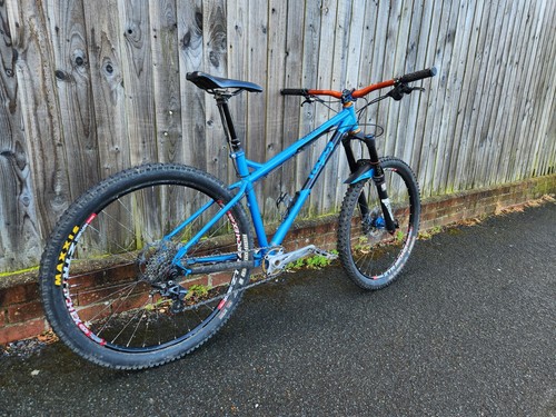 Ragley blue pig steel - pig, 27.5