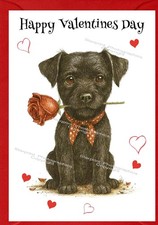 Patterdale Terrier Dog
