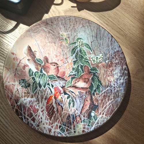 Coalport collectors plate - collectors,