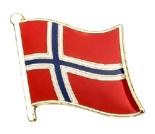 Norway flag badge pin - badge,