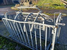 SHEEP TURNOVER CRATE