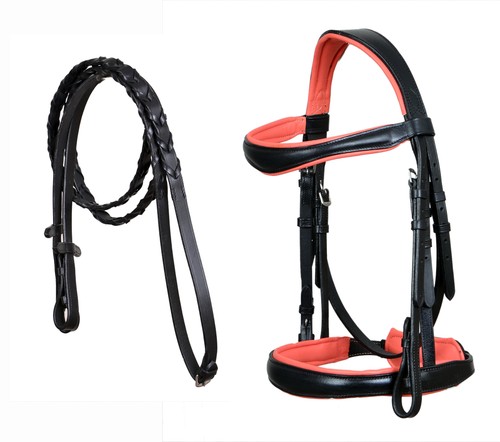 Horse english all purpose - english, all-purpose