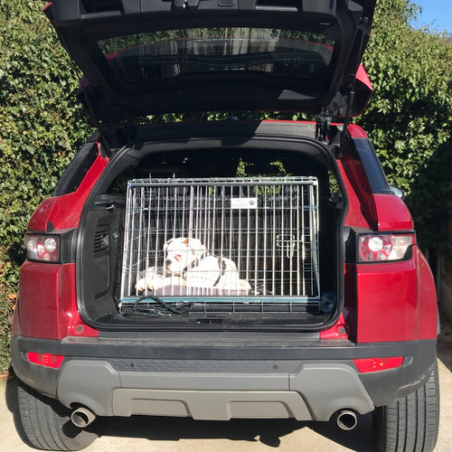 Dog car crate for range - crate, rover
