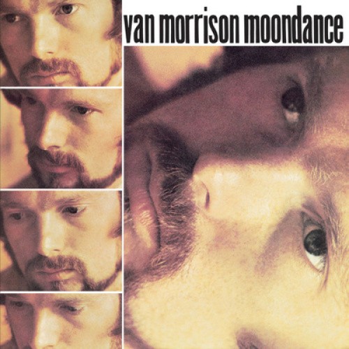 Moondance van morrison - by,