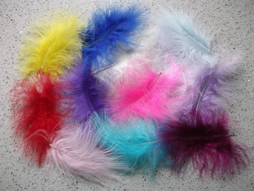 Large 15 cms long - 15,