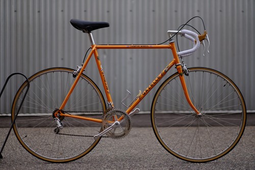 Late 1970s gazelle champion - late, gazelle,