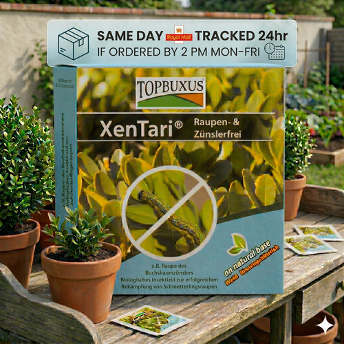 Xentari box tree moth - tree,